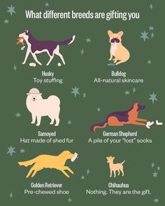 different types of dogs and their names on a green background with stars in the sky