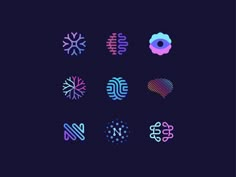 six different types of snowflakes on a dark background