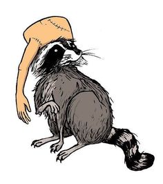 a drawing of a raccoon with a hat on it's head and legs