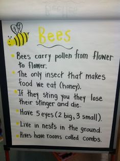 a bulletin board with bees written on it