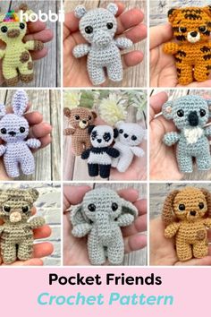 crochet patterns for stuffed animals and teddy bears are featured in the book pocket friends crochet pattern