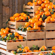 crates filled with oranges sitting on top of each other