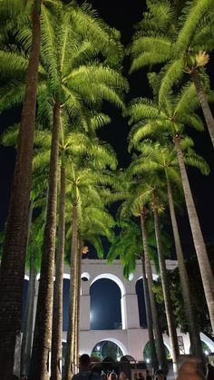 palm trees are lined up in front of a building at night with people walking by