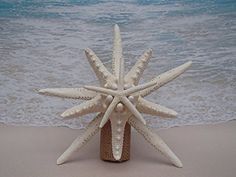 a white starfish sculpture sitting on top of a sandy beach next to the ocean