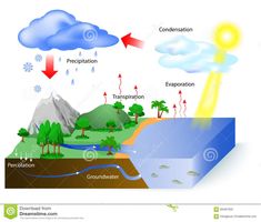 water cycle diagram showing the process of evation and condensation stock photo - 957982