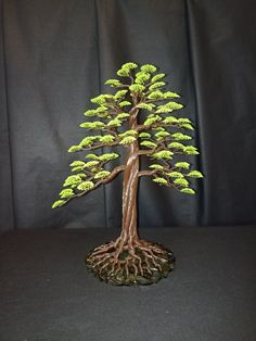 a bonsai tree with green leaves on a black background