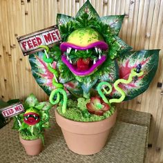 some fake plants are sitting in a pot and one is holding a sign that says feed me