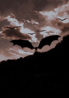 two large black bats flying in the sky over a mountain top with clouds above it