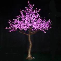 the tree is lit up with pink lights and has no leaves or flowers on it