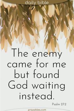 the enemy came for me but found god waiting instead bible verse on white background with olive leaves