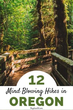 a wooden bridge in the woods with text overlay reading 12 mind blowing hikes in oregon