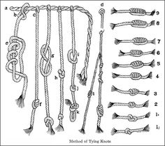 an image of ropes and knots with numbers on the bottom, one is labeled in black