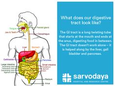 What does our #digestive tract look like #Health Swollen Belly, Sigmoid Colon, Parotid Gland, Gi Tract, Large Intestine, Healthy Advice, Facial Skin, Easy Workouts, Chicken Recipes