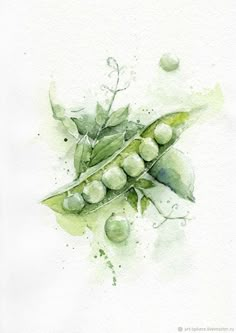 watercolor painting of green leaves and berries