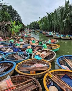 many small boats are lined up in the water