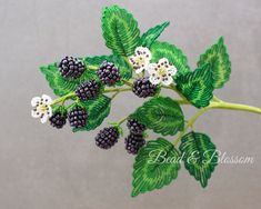 blackberries and white flowers on a branch with green leaves in the foreground, against a gray background