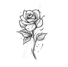 a black and white drawing of a rose