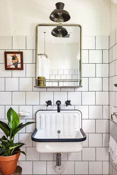 a white sink sitting under a mirror next to a potted plant