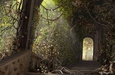 an image of a stairway with vines growing on the walls and stairs leading up to it