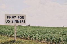 a sign that says pray for us sinners in front of a field of corn