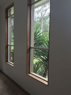 two windows in a white room with trees outside