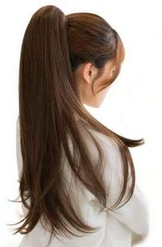 High Ponytail Hairstyles, Ponytail Updo, Long Hair Ponytail, Straight Hair Extensions, Straight Ponytail, Long Brown Hair, High Ponytails, Long Straight Hair, Aesthetic Hair