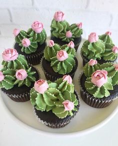 cupcakes decorated with green and pink flowers on a white plate