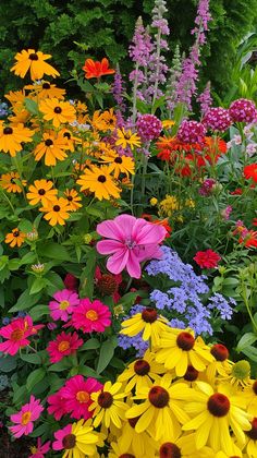 many different colored flowers in a garden