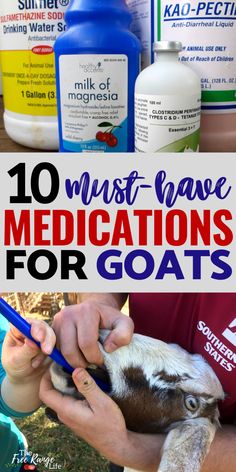 a person holding a goat in their hands with the words 10 must have medicationss for goats