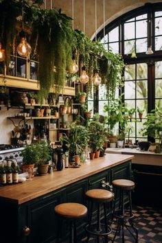 a kitchen filled with lots of potted plants next to a counter topped with stools