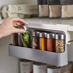 a person is picking up food from the spice rack in their kitchen cabinet, with spices and seasonings on the shelves