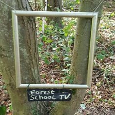 a sign that is attached to a tree in the woods with trees around it and leaves on the ground