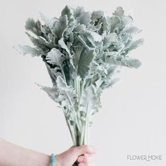 a person holding a bunch of flowers in their hand