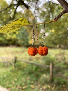 two small orange balls hanging from a tree branch in front of a leafy green field