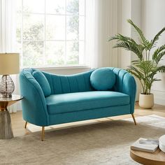 a living room with a couch, table and potted plant on the floor in front of a window