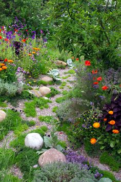 a garden filled with lots of different types of flowers and plants on top of rocks