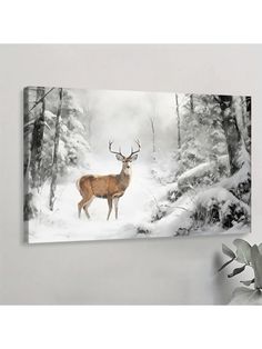 a deer is standing in the snow near some trees and bushes on a white wall