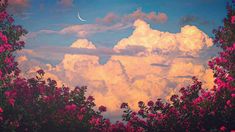 the sky is filled with clouds and pink flowers