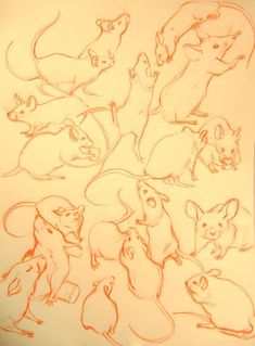 a drawing of various animals on paper with pen and ink in the shape of mouses