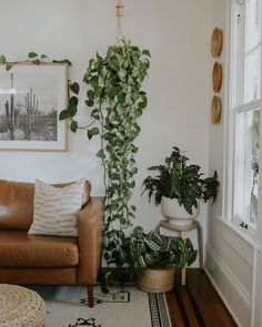 a living room filled with lots of plants next to a wall mounted plant on the wall