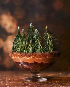 small evergreens are placed on top of a chocolate dessert in a glass bowl, sprinkled with icing