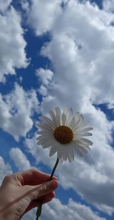 a hand holding a flower in front of a blue sky with white puffy clouds