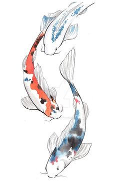 two koi fish are swimming in the water