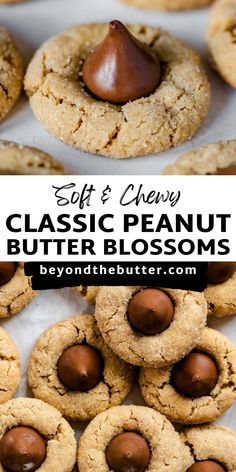 peanut butter blossom cookies with chocolate in the middle and text overlay reading soft & chewy classic peanut butter blossoms