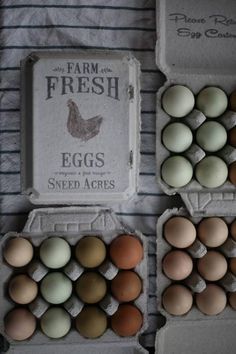 eggs are laid out in cartons on a towel next to a box of farm fresh eggs