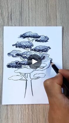 someone is drawing a tree on paper