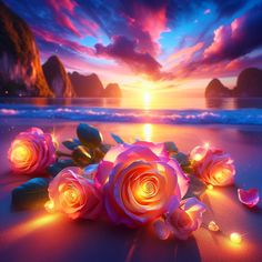 pink roses on the beach at sunset with lights coming from them and some rocks in the background