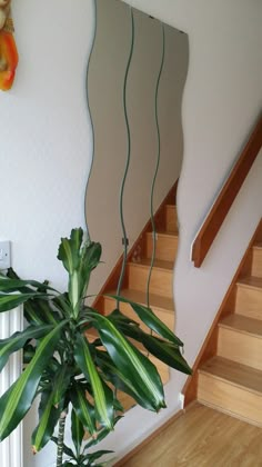 a houseplant in a pot on the floor next to a stair case