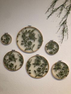 four embroidered plates with green plants on them hanging from the wall next to a plant branch