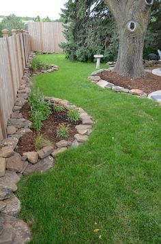 there is a tree in the yard with rocks around it and a rock wall behind it